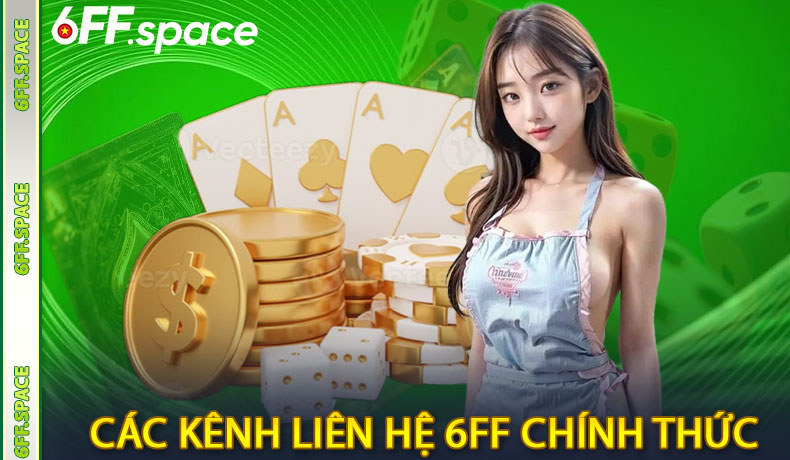 Các kênh liên hệ 6FF chính thức